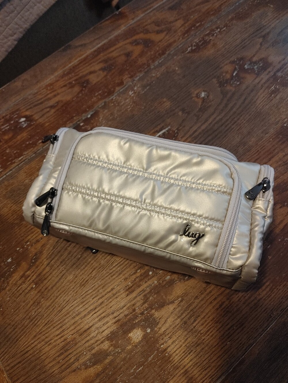 Lug Trolley Medium Cosmetic Case for Travel in Metallic Champagne
